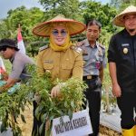 Wujudkan Ketahanan Pangan, Wali Kota Kendari Tanam dan Panen Komoditi Pertanian di Lapas Kelas II A