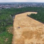 3 Hektare Hutan Mangrove Dibabat, Diduga untuk Bangun Rumah Pribadi Gubernur Sultra